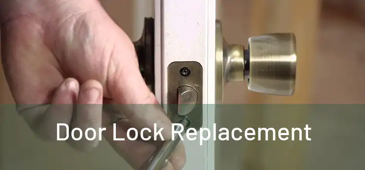  Door Lock Replacement 